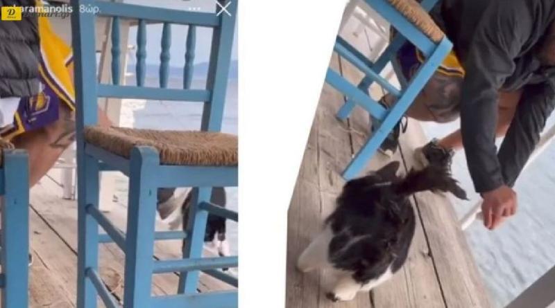فيديو – يستدرج قطة بسمكة ويركله في البحر ؛ اليونانيون يطالبون بمعاقبة الجاني