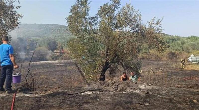 ليسفوس: حريق موريا تحت السيطرة