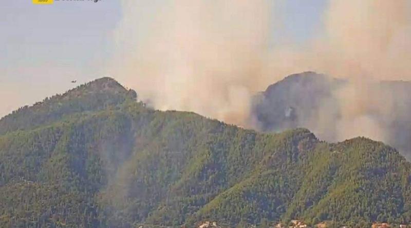 تم إخلاء قرية في ثاسوس مع اندلاع حريق كبير – فيديو